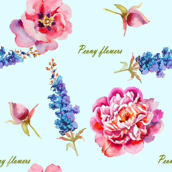 ピンク、紫牡丹水彩画、芽 — ストック写真