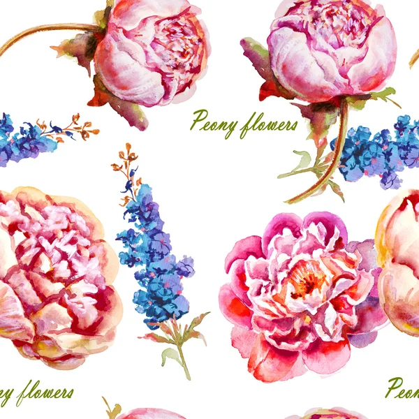 Aquarelle rose, pivoine violette, bourgeon — Photo
