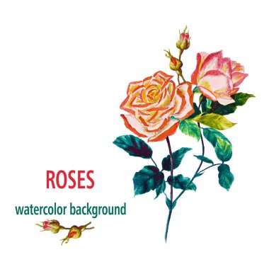 Çiçek yaprakları ile gül