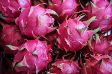 pembe taze dragon meyve piyasada