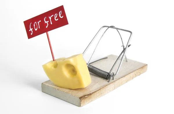 The only free cheese is in the mousetrap: mousetrap with cheese entrapment concept and free sign on the isolated white background.