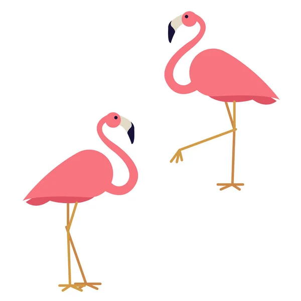 Par av vektor rosa flamingo — Stock vektor