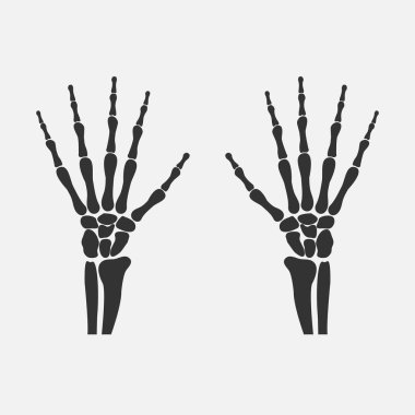 bilek kemikleri eller