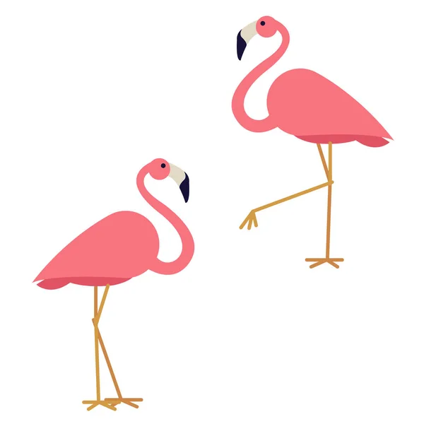 Paar rosa Flamingos — Stockfoto