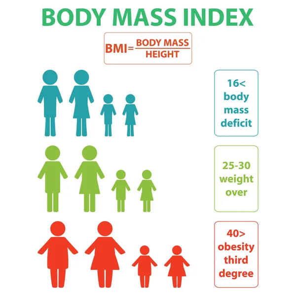Body Mass Index or mass index scale. Types of BMI.Weight loss concept.  Vector isolated illustration 17441794 Vector Art at Vecteezy
