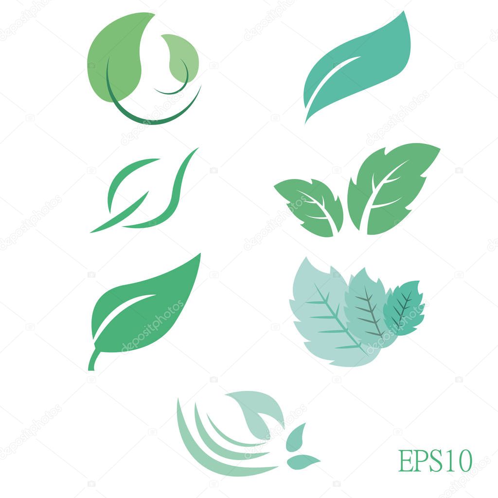 Mint icons set. Collection of green leaves. Different shapes in modern flat style.