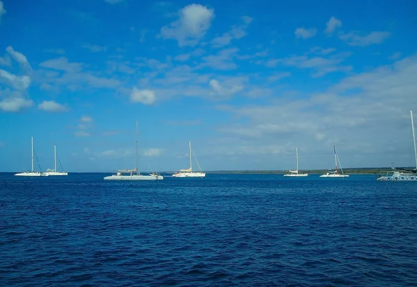 Hermosos veleros en el océano, en el mar azul turquesa, en la isla caribeña — Foto de Stock