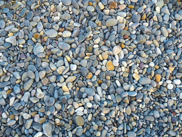 Doğa arka plan gri (çok renkli) deniz çakıl