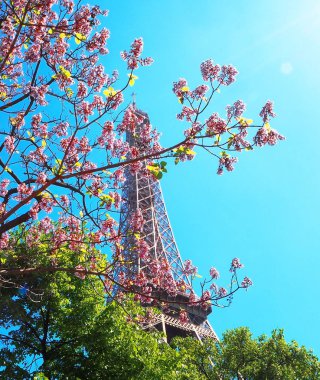 Eyfel Kulesi Tour Eiffel, paris, Fransa, ağaç bahar ile