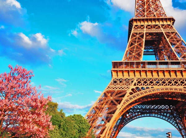 Eiffel Tower Spring Plants Bloom Spring Background — Stock Photo, Image