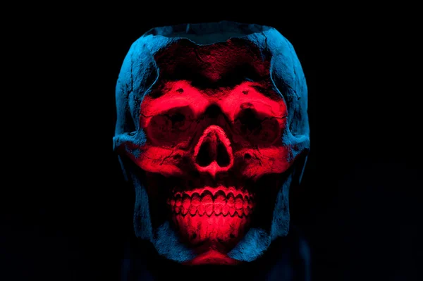 Ceramic skull on black background. Colorful light. — Stock Photo, Image