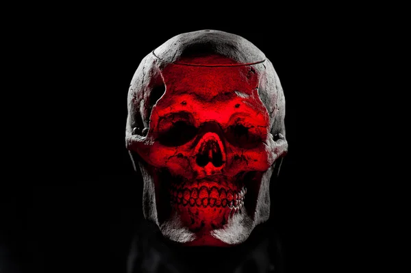 Ceramic skull on black background. Colorful light. — Stock Photo, Image