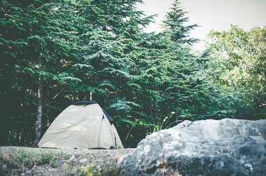 Ormanda haki rengi bir çadır. Ormanda vahşi bir dinlenme. Ormanda kamp yapmak.