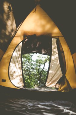 Şafak vakti ormanda çadırın manzarası. Seçici odak