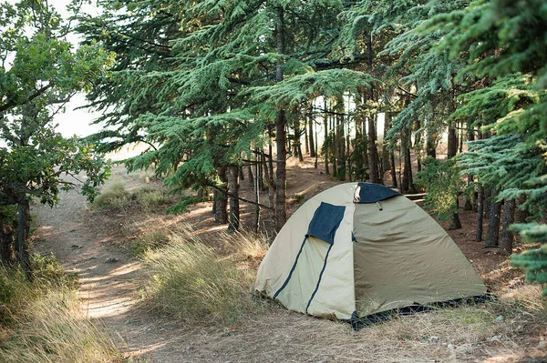 森林里的卡其布帐篷 森林里的野性休息 在森林里露营 — 图库照片