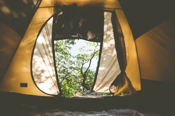 Şafak Vakti Ormanda Çadırın Manzarası Seçici Odak — Stok fotoğraf