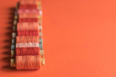 Mercan kağıdının arka planında, kopyalama alanı olan bir mercan makarası. Mercan rengi