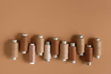 Mercan kağıdının arka planında, kopyalama alanı olan bir mercan makarası. Mercan rengi