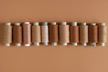 Mercan kağıdının arka planında, kopyalama alanı olan bir mercan makarası. Mercan rengi