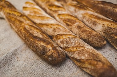 Fırıncının elinde karabuğday ekmeği. Glütensiz. Yumuşak odak