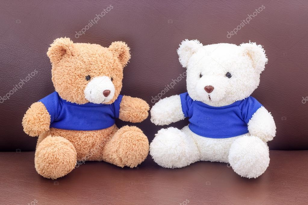 teddy bear with blue shirt