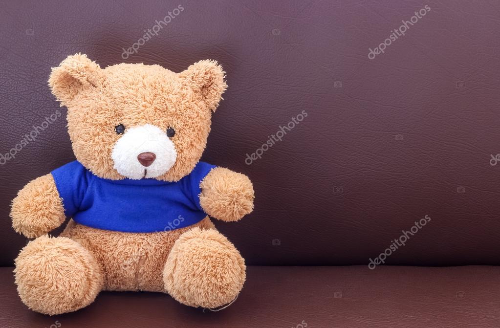 teddy bear with blue shirt