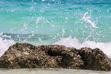 Kayalık sahile vuran deniz dalgaları.