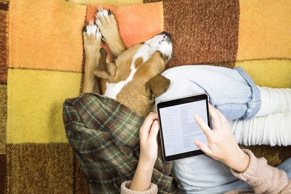 Travailler avec une tablette à la maison à côté d'un chien endormi — Photo