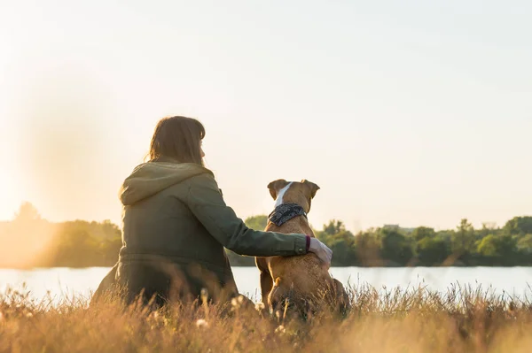 Köpek sahibi ve onun evde beslenen hayvan riverbank günbatımında oturmak — Stok fotoğraf