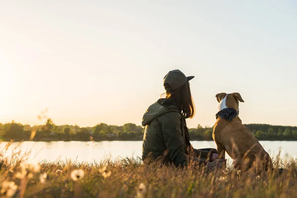 Hund och hennes ägare sitta vid sjön vid solnedgången — Stockfoto