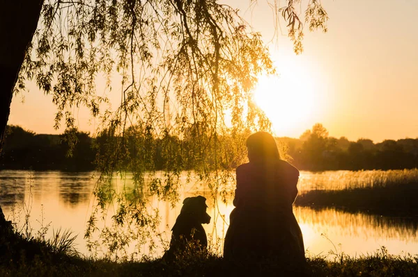 Köpek ve göl günbatımı at sahibi