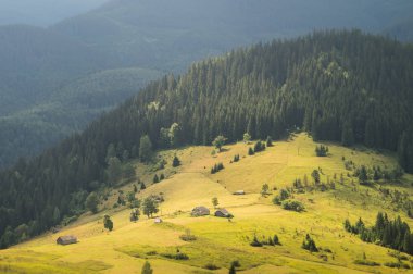 Güzel doğa manzara ve terk edilmiş ahşap lodges bir çayır dağ ormanları arasında