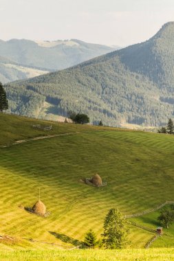 Gün batımında yaz alanında güzel Batı Ukrayna dağ görüş