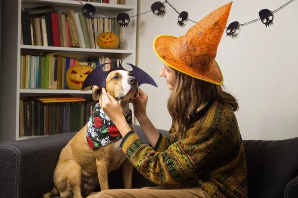 Chica vistiendo a su perro en traje de murciélago de Halloween — Foto de Stock