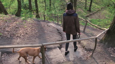Uzun yürüyüşe çıkan kimse kız ve onu evde beslenen hayvan köpek güzel bahar orman Park merdivenlerden gidin. Yavaş yavaş kırsal orman alanı ülkede yol boyunca bir bahar gününde gidiş genç kadın kişi ve staffordshire terrier köpek