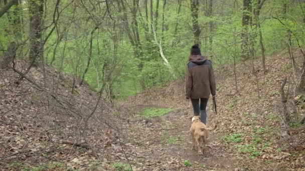 Escursionista Ragazza Cane Scendere Dalla Collina Nella Bellissima Foresta Primaverile — Video Stock