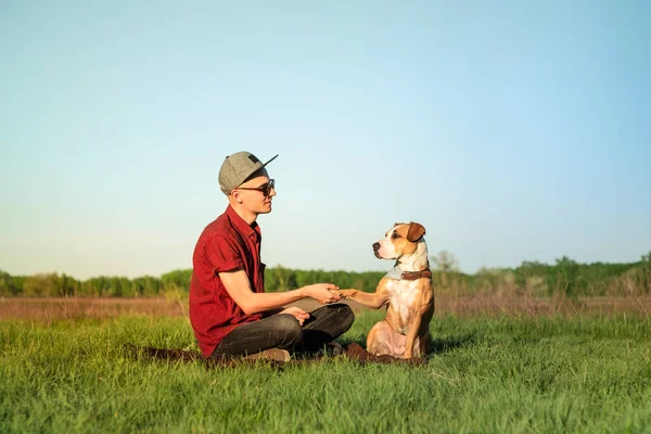 Mansperson hundägare och utbildad staffordshire terrier ge tass på gräsmattan — Stockfoto