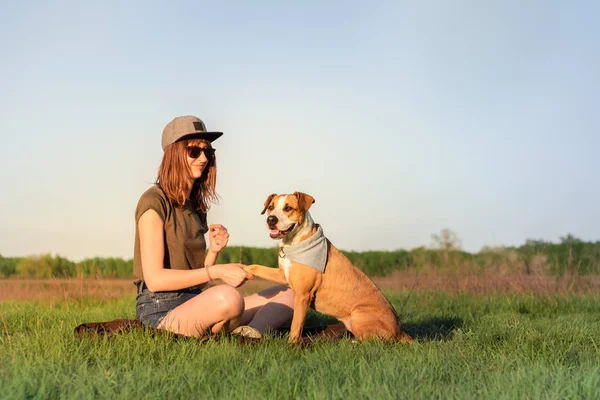 Kvinnlig hundägare och utbildad staffordshire terrier ge tass på gräsmattan — Stockfoto