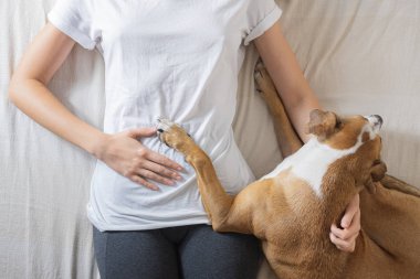 Yatakta bir insanla terapi köpeği.. 