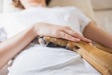 Bir insanla terapi köpeği..