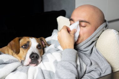 Genç adam, köpeğiyle yatakta uzanan kağıt mendile burnunu sümkürdü.