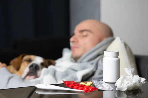 เครื่องวัดอุณหภูมิ ยาแก้หวัด และผ้าเช็ดปาก บนพื้นหลังของชายที่ป่วยนอนหลับ นอนอยู่บนเตียงกับหมาของเขา . — ภาพถ่ายสต็อก