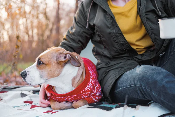 Compartir una compañía con un perro leal a finales de otoño — Foto de Stock