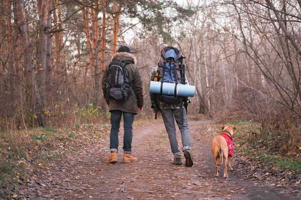 Descanso ativo ao ar livre: duas pessoas com seus cães caminhando na floresta . — Fotografia de Stock