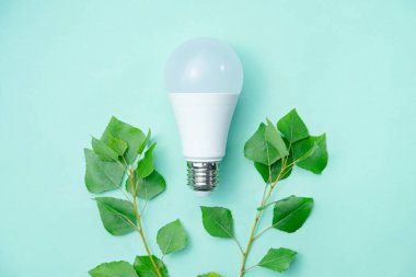 Önde gelen ampul ve yeşil yapraklar - enerji tasarrufu kavramı. Çevresel farkındalığı ve elektriğin ekonomik kullanımını sembolize eden soyut görüntü