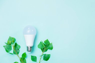 Enerji verimliliği, ekolojik teknolojiler, yeşil elektrik kavramı. Öncü ampul ve yeşil yapraklı dallar doğayı korumak için çevresel farkındalığı ve elektriği sembolize eder.