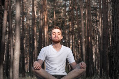 Genç adam modern teknolojiyi kullanarak ormanda meditasyon yapıyor. Aktif adam çam ağacında oturuyor ve dışarıda meditasyonun tadını çıkarıyor..