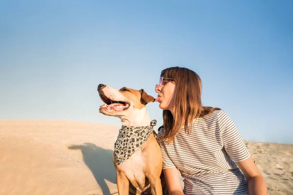 犬と人間は 親友のように振舞う 楽しみを作る 面白い女性の人とスタッフォードシャーテリア子犬は暑い夏の日に砂の上に座る — ストック写真