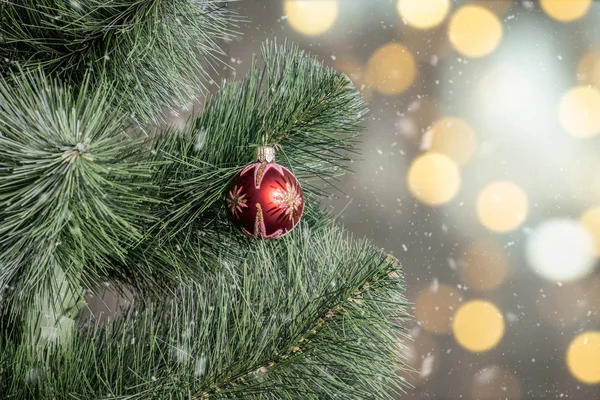 Χριστουγεννιάτικο Δέντρο Νέο Έτος Κόκκινο Παιχνίδι Μπάλα Bokeh Φόντο — Φωτογραφία Αρχείου