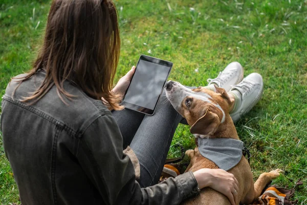 Mujer Bonita Joven Con Tableta Sienta Césped Con Lindo Cachorro — Foto de Stock
